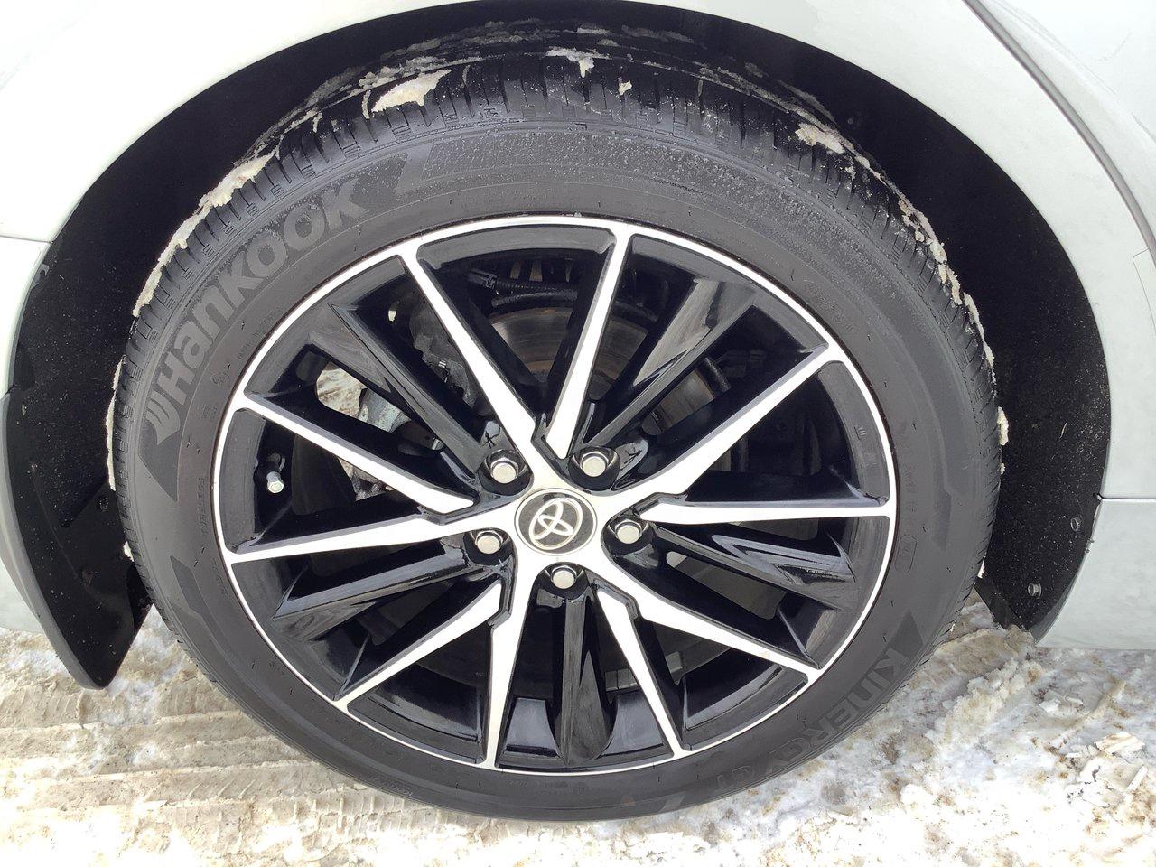 2023 Toyota Camry SE Photo