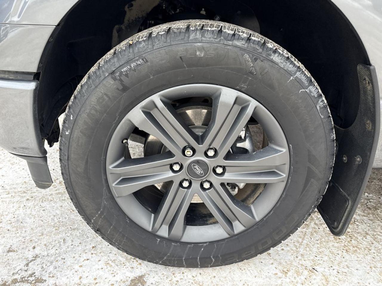 2023 Ford F-150 Lariat Photo2