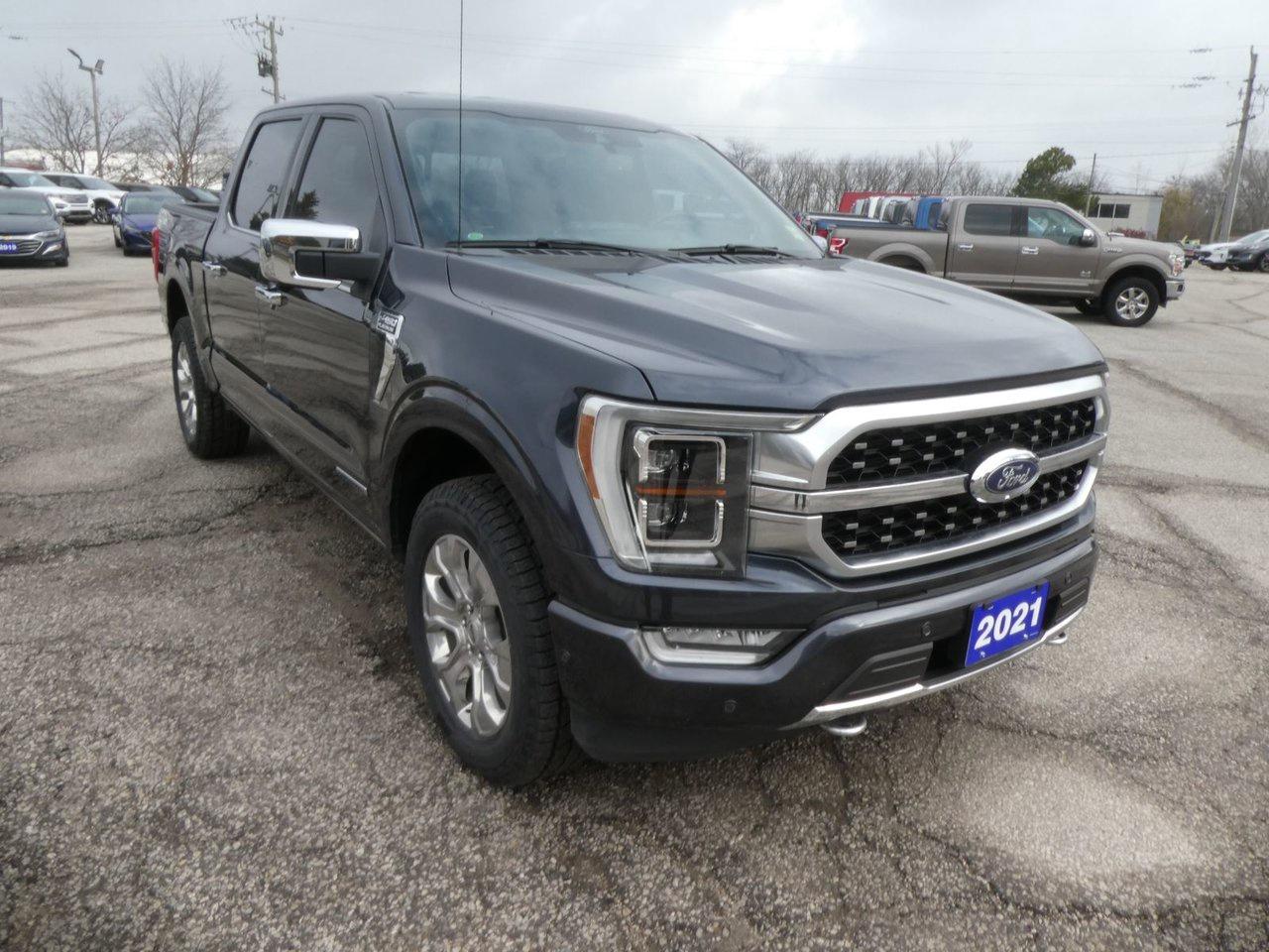 2021 Ford F-150 Supercrew Platinum Photo