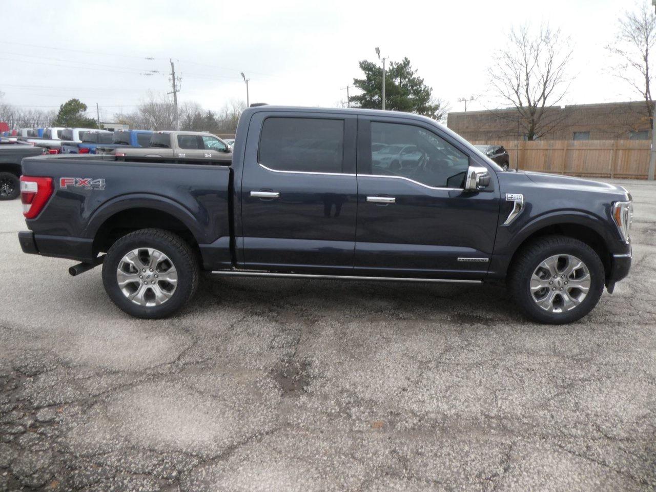 2021 Ford F-150 Supercrew Platinum Photo