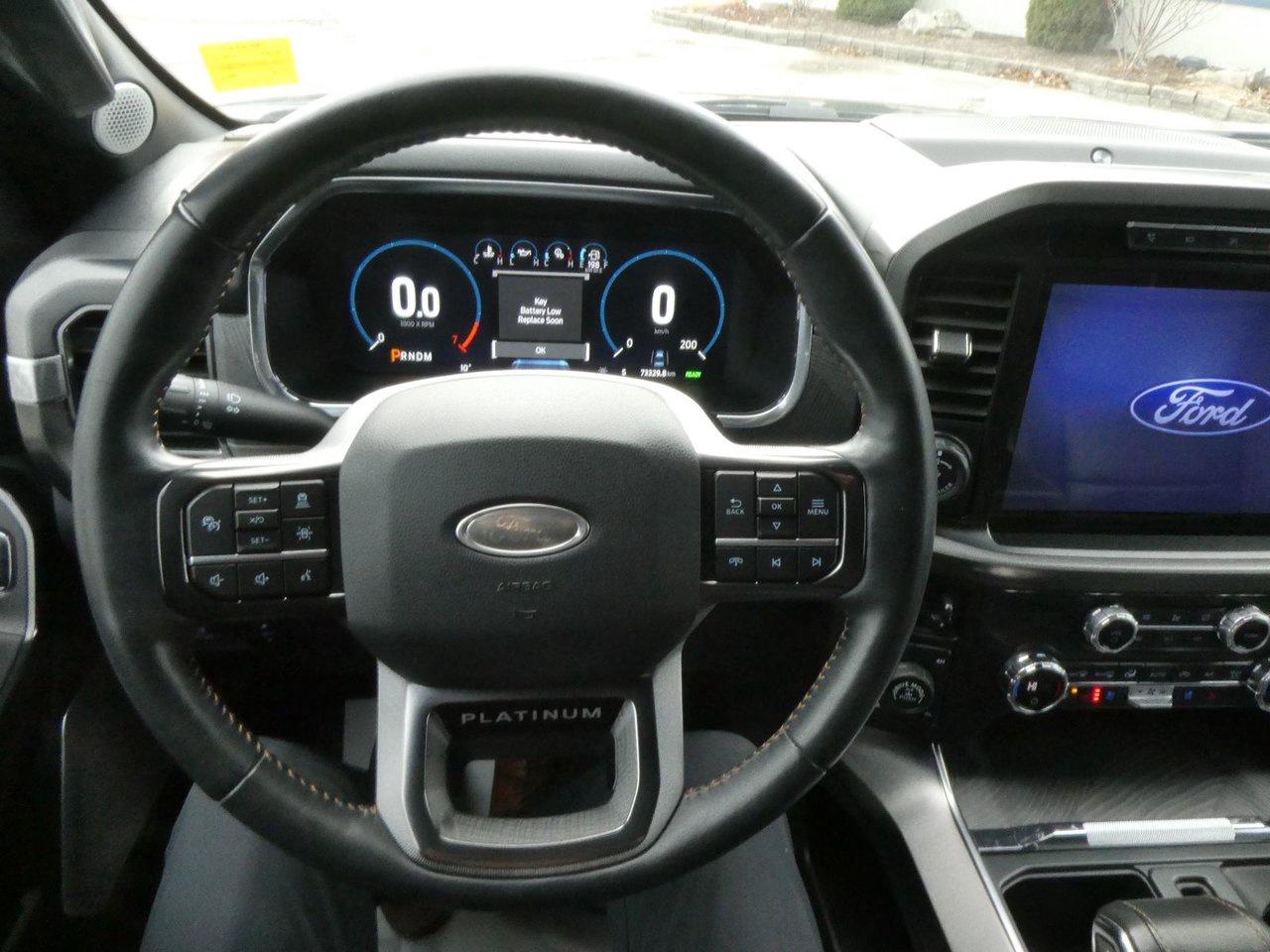 2021 Ford F-150 Supercrew Platinum Photo