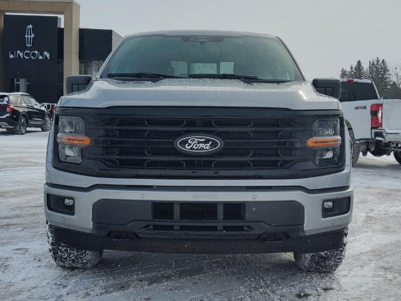 2026 Ford F-150 XLT Photo