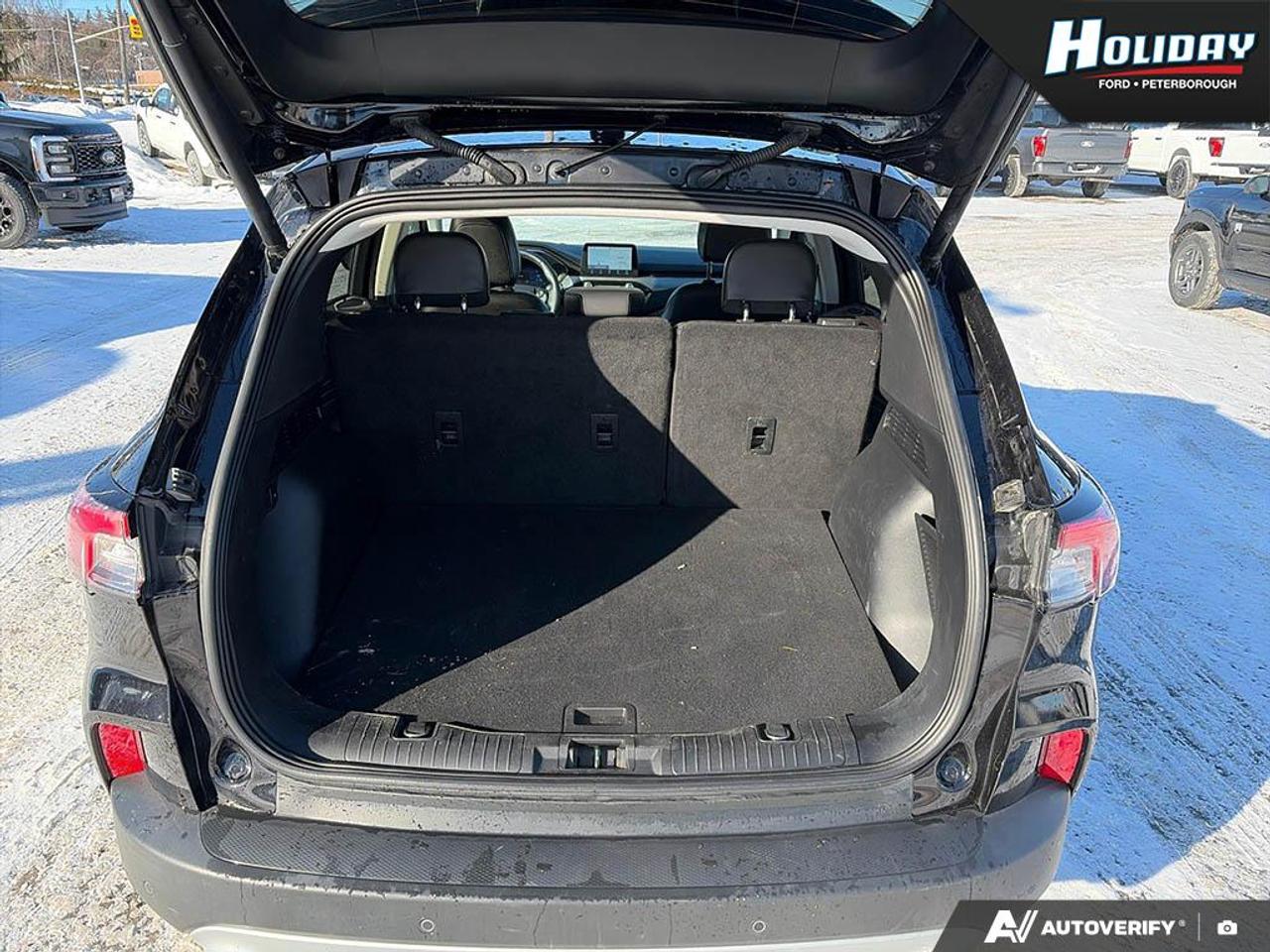 2022 Ford Escape Titanium Hybrid Photo