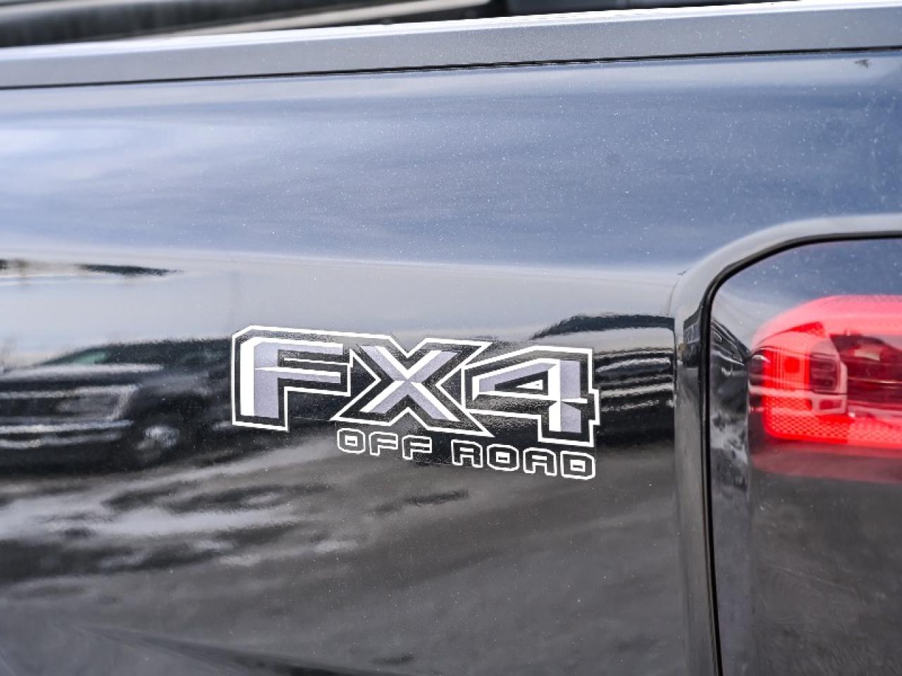 2025 Ford Ranger XLT Photo