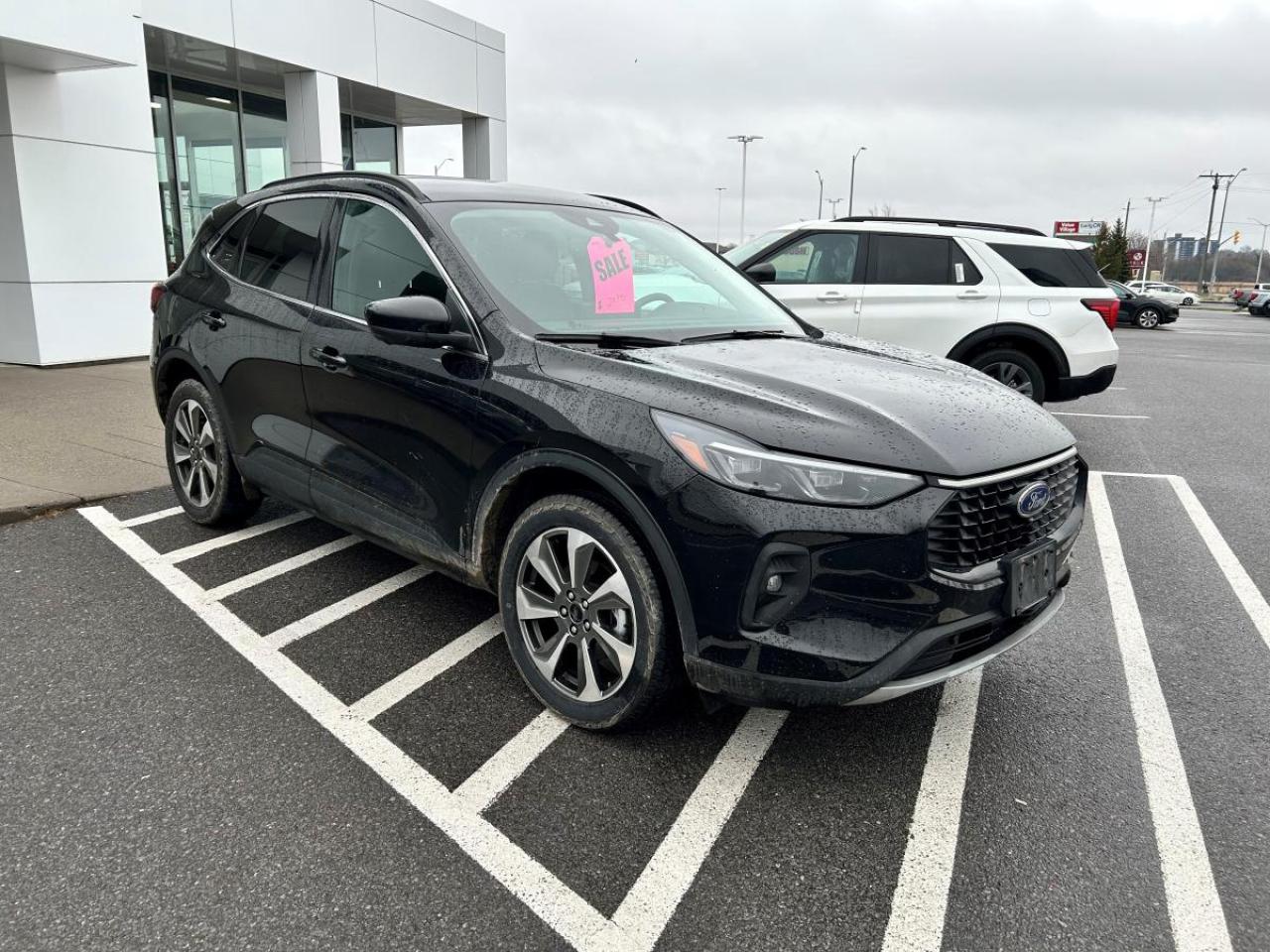 2024 Ford Escape Platinum Photo2