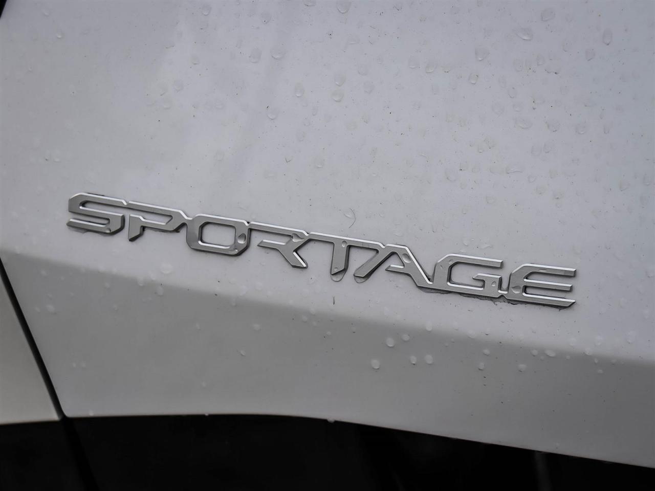 2023 Kia Sportage EX Premium w/Black Interior Photo