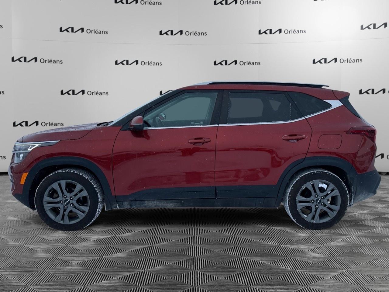 2023 Kia Seltos EX FWD Photo