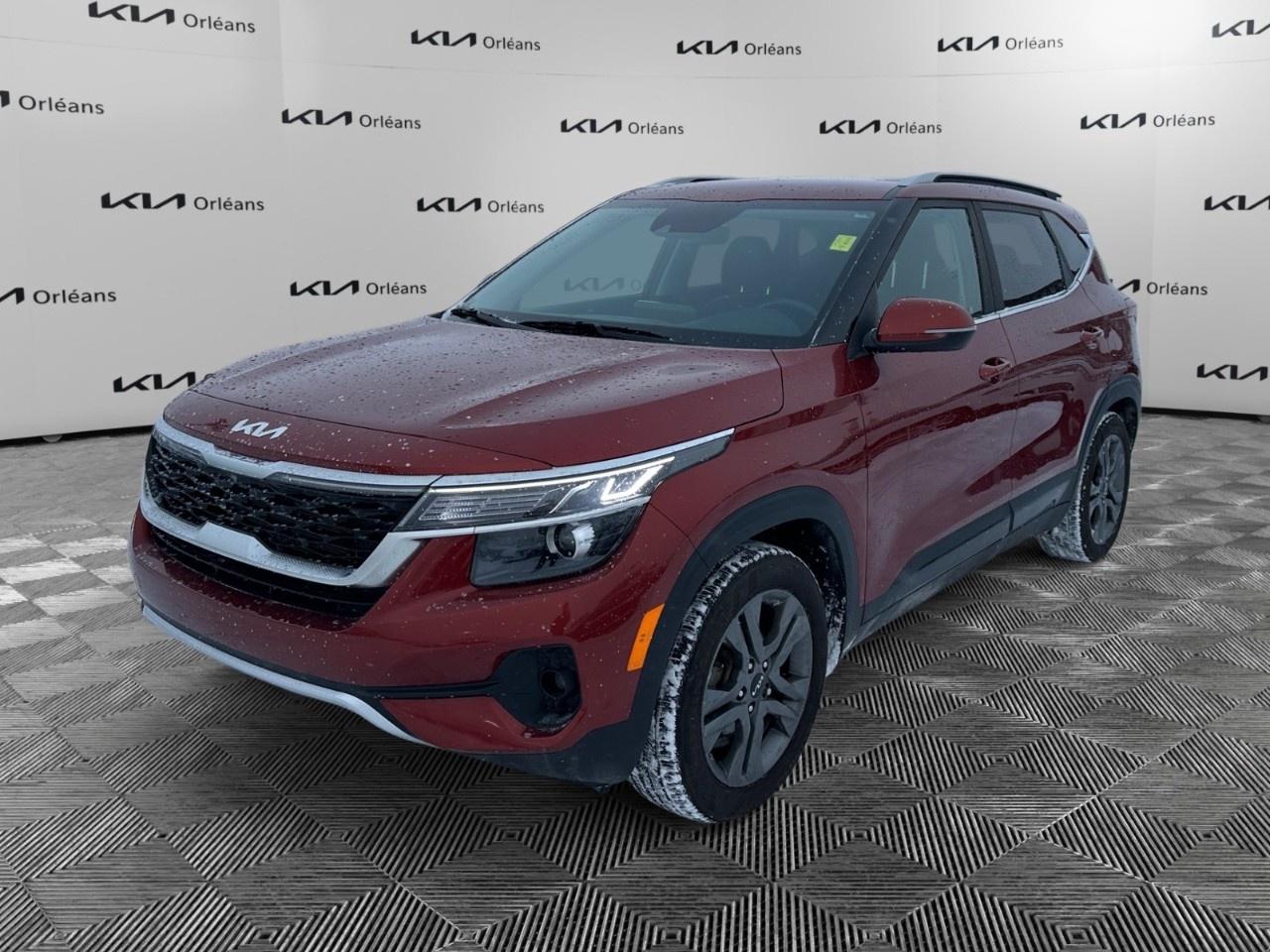 Used 2023 Kia Seltos EX FWD for sale in Orleans, ON