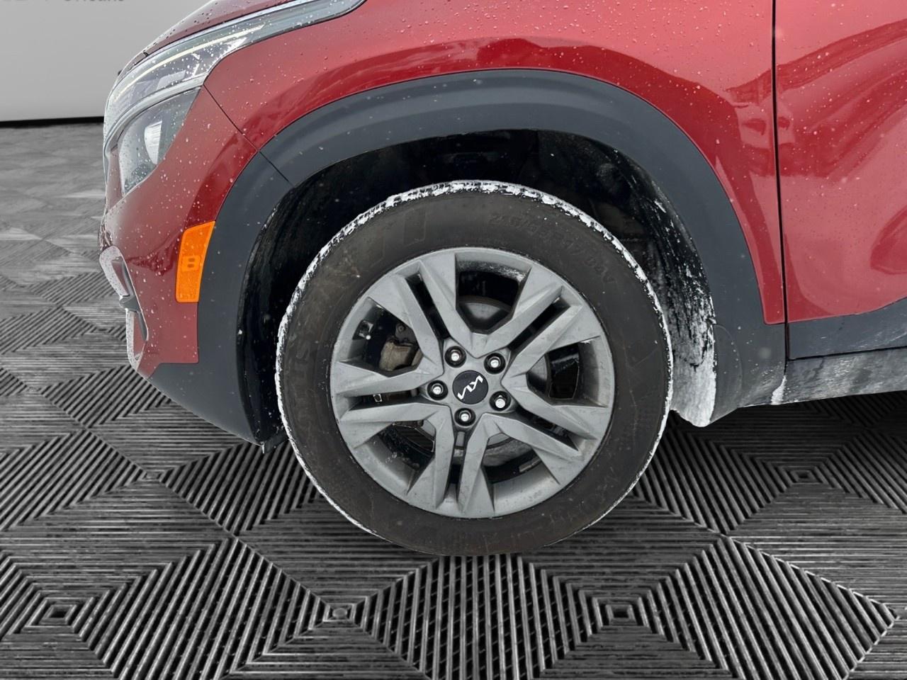 2023 Kia Seltos EX FWD Photo