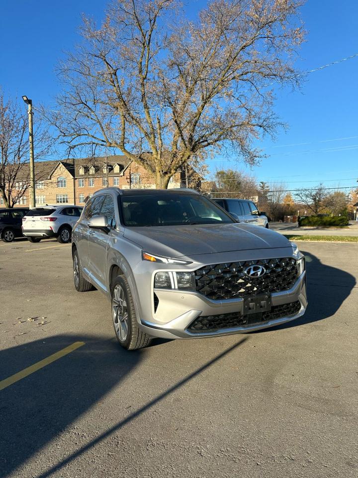 2022 Hyundai Santa Fe Ultimate Calligraphy - Photo #8