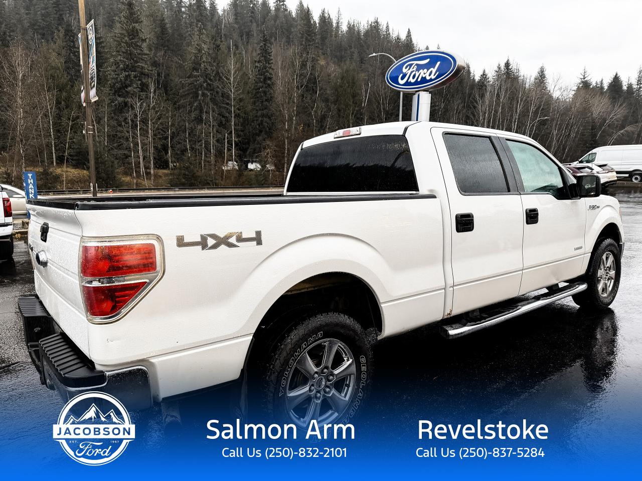 2014 Ford F-150 XLT Photo