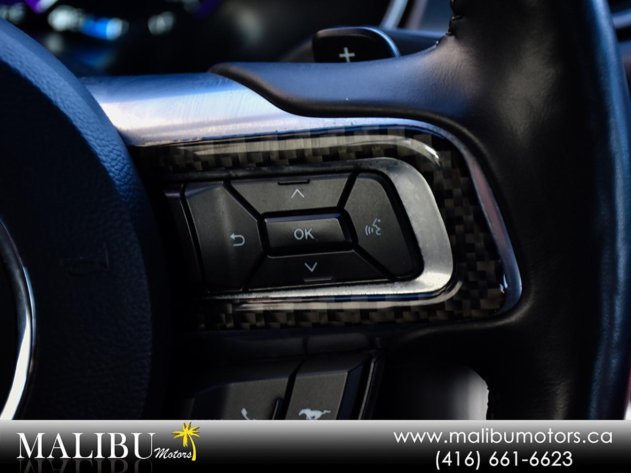 2021 Ford Mustang GT Premium Photo