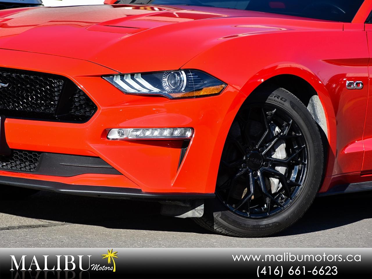 2021 Ford Mustang GT Premium Photo