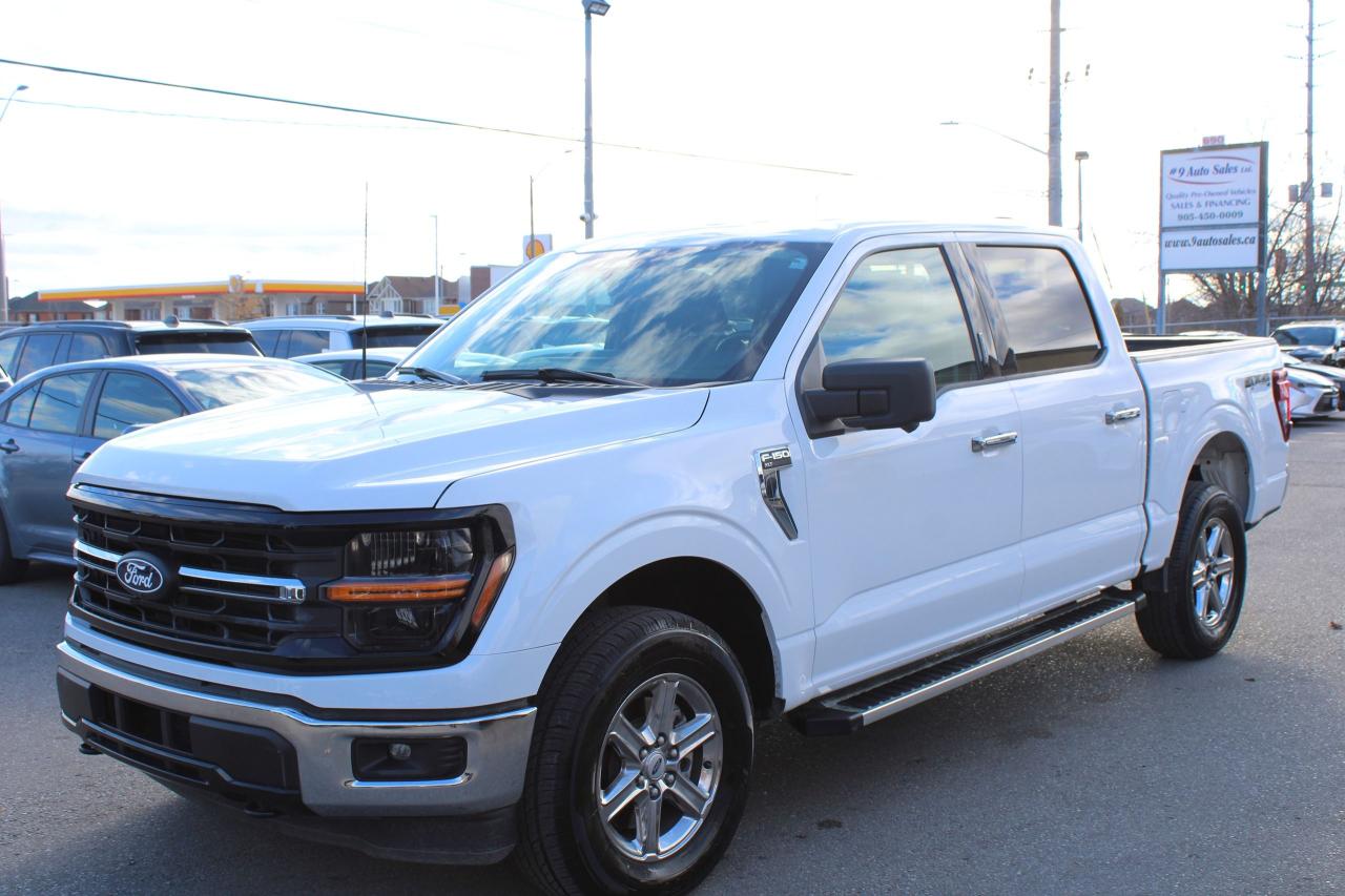 2024 Ford F-150 XLT Photo