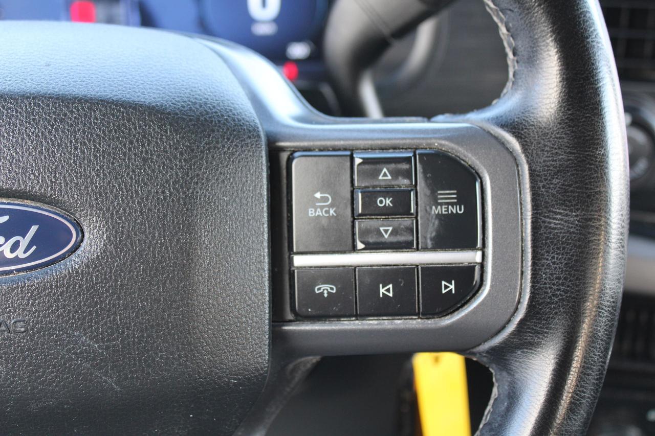 2024 Ford F-150 XLT Photo