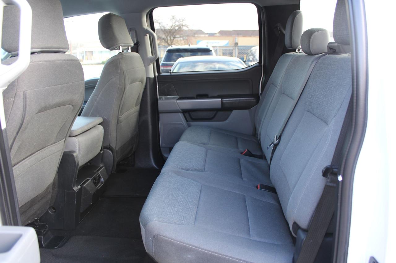 2024 Ford F-150 XLT Photo