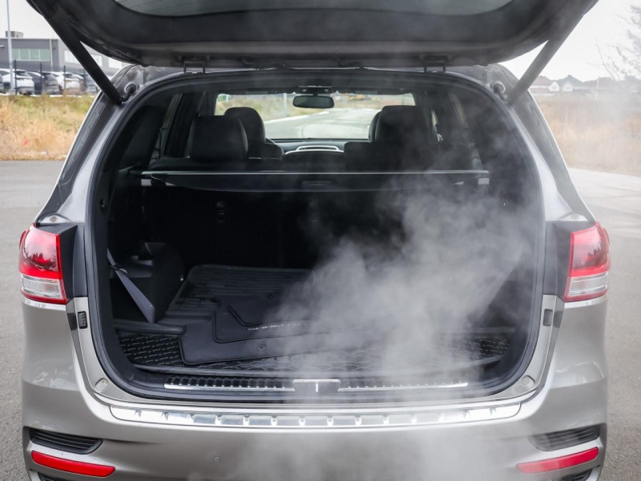 2018 Kia Sorento SX V6  - Navigation -  Sunroof - $143 B/W Photo