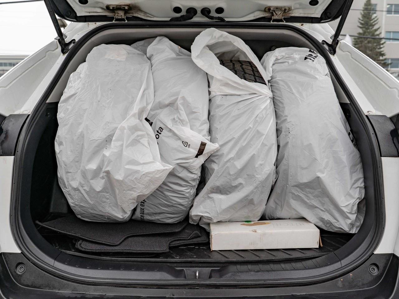 2020 Toyota RAV4 LE FWD Photo