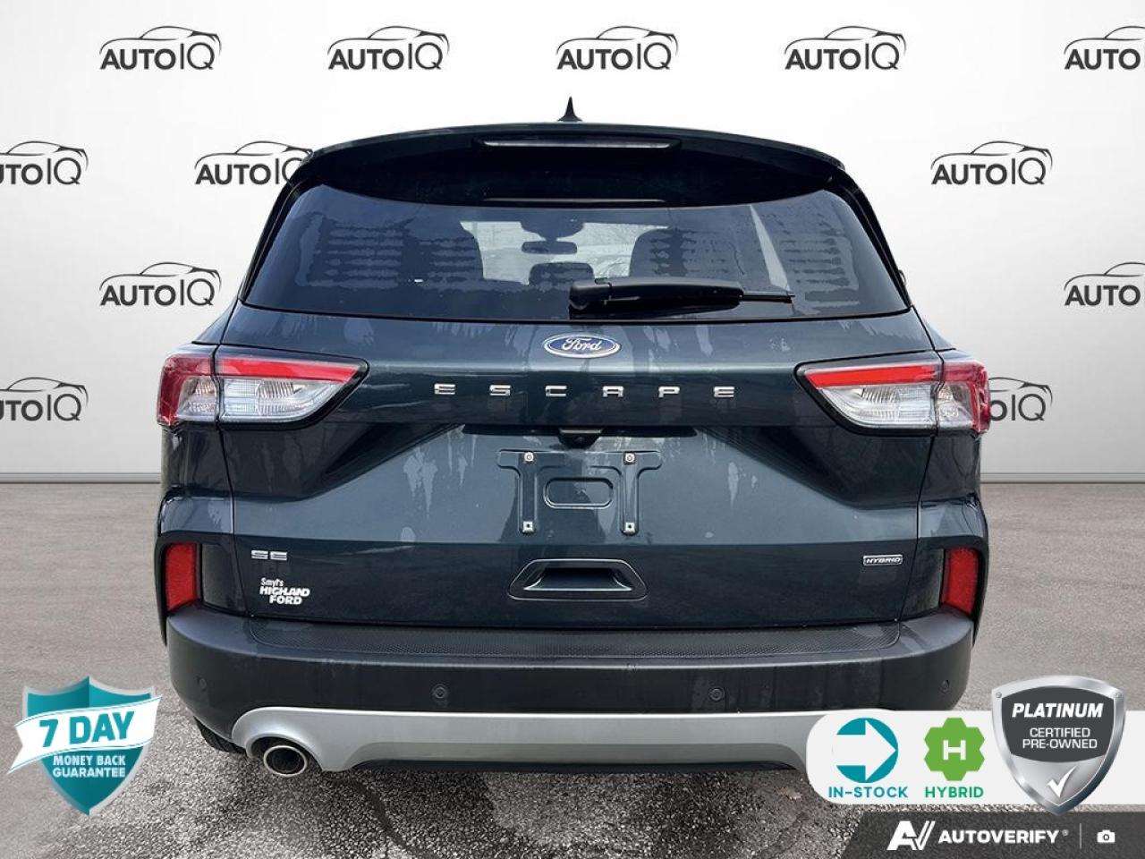 2022 Ford Escape SE Hybrid 201A | ACCIDENT FREE | ONE OWNER | COLD PKG | CONV Photo4