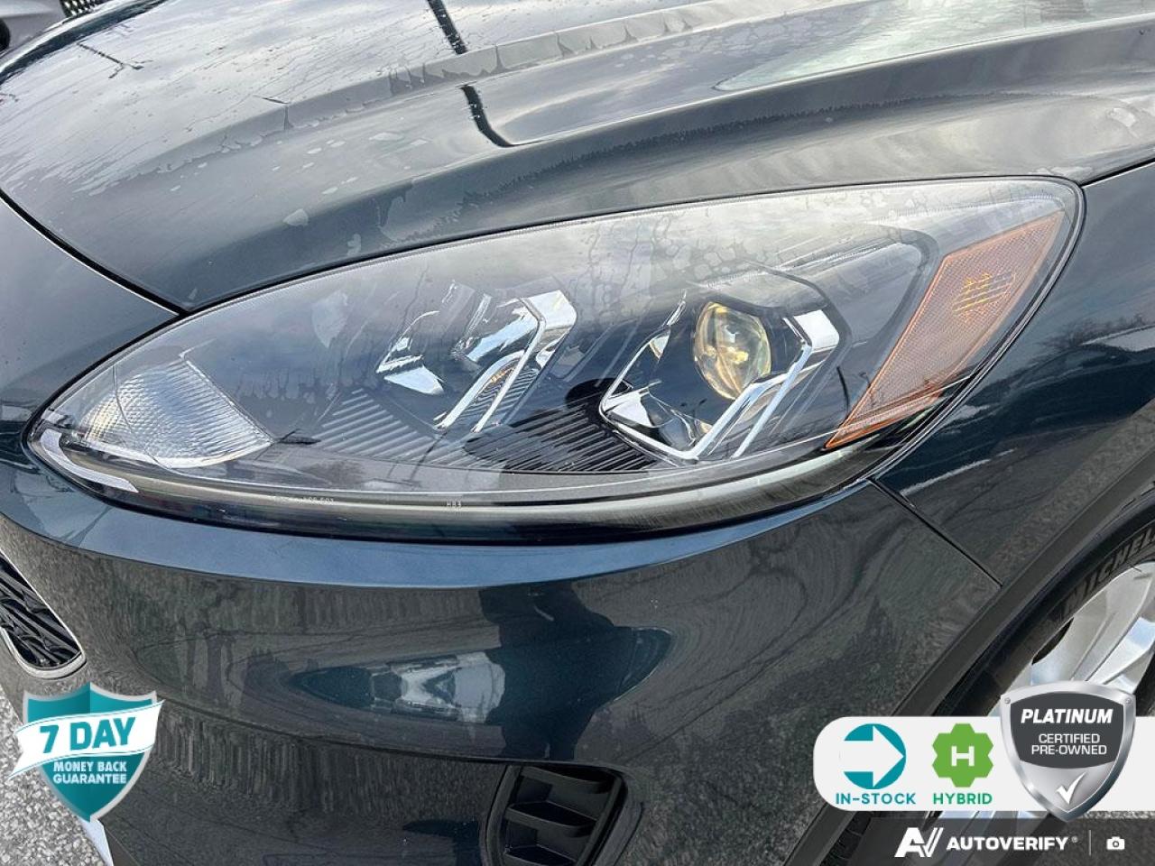 2022 Ford Escape SE Hybrid 201A | ACCIDENT FREE | ONE OWNER | COLD PKG | CONV Photo