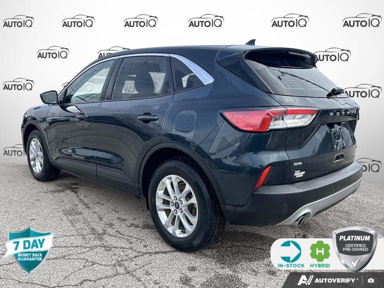 2022 Ford Escape SE Hybrid 201A | ACCIDENT FREE | ONE OWNER | COLD PKG | CONV Photo