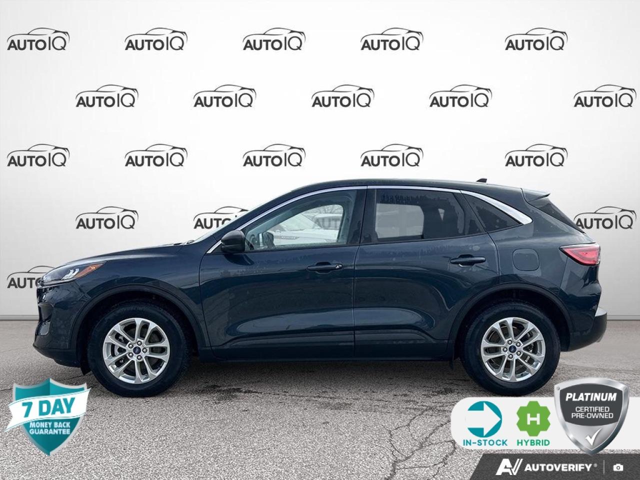 2022 Ford Escape SE Hybrid 201A | ACCIDENT FREE | ONE OWNER | COLD PKG | CONV Photo