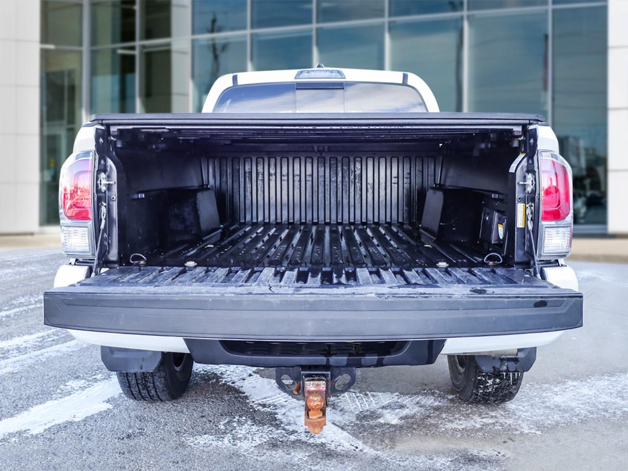 2023 Toyota Tacoma  Photo