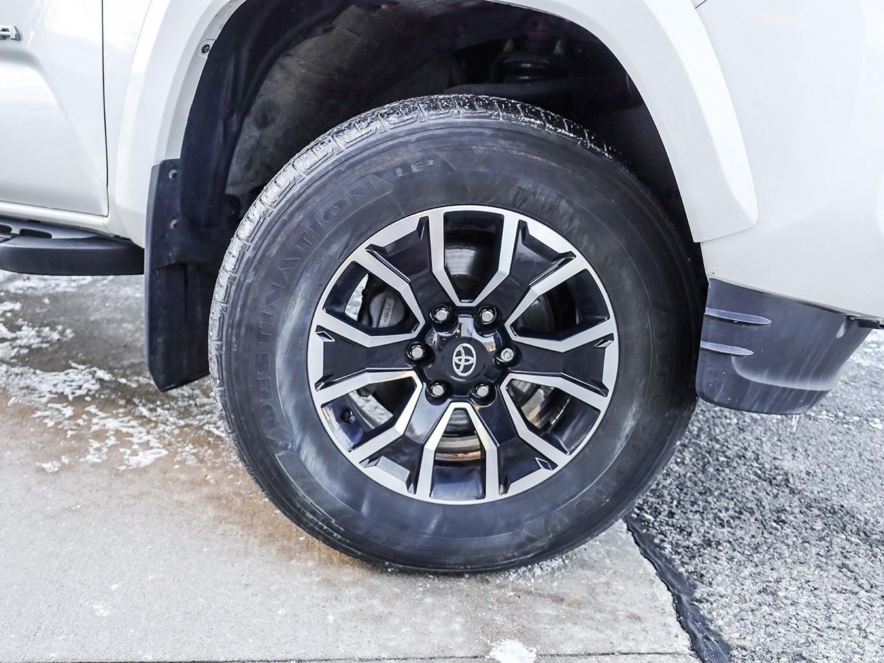 2023 Toyota Tacoma  Photo