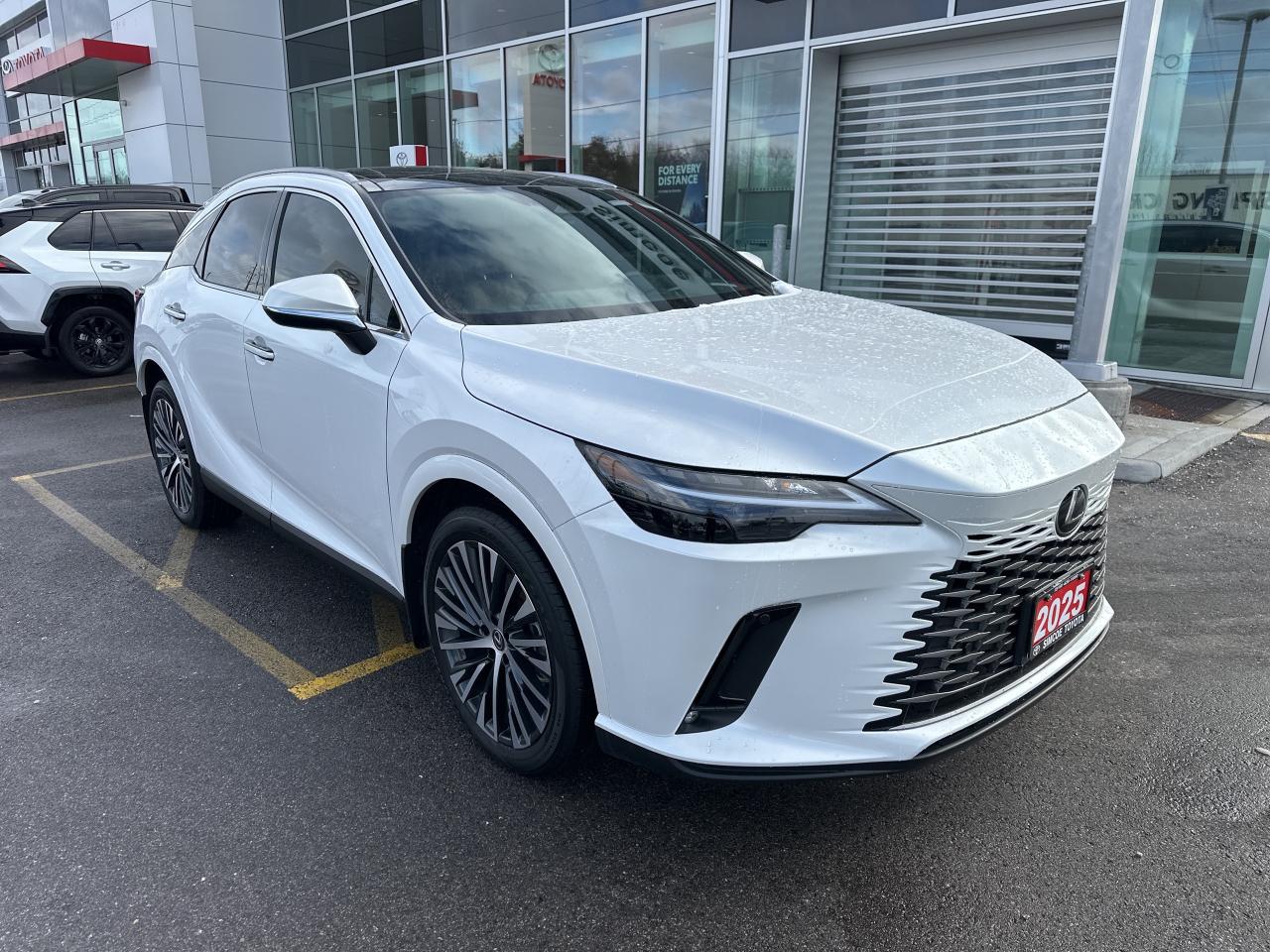 2025 Lexus RX RX 350h Photo