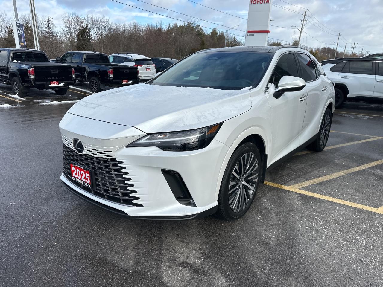 Used 2025 Lexus RX RX 350h for sale in Simcoe, ON