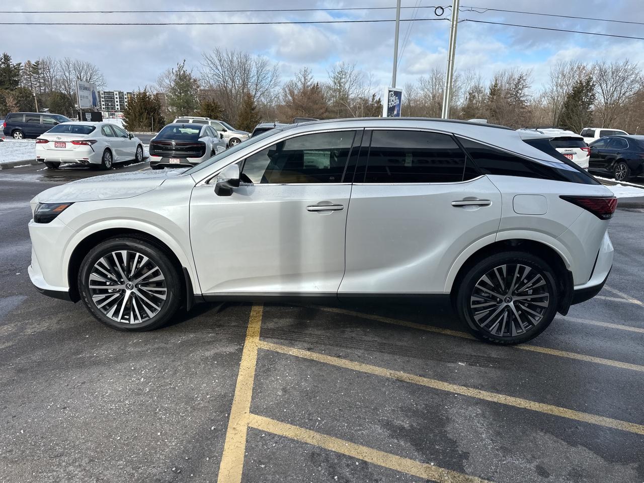 2025 Lexus RX RX 350h Photo