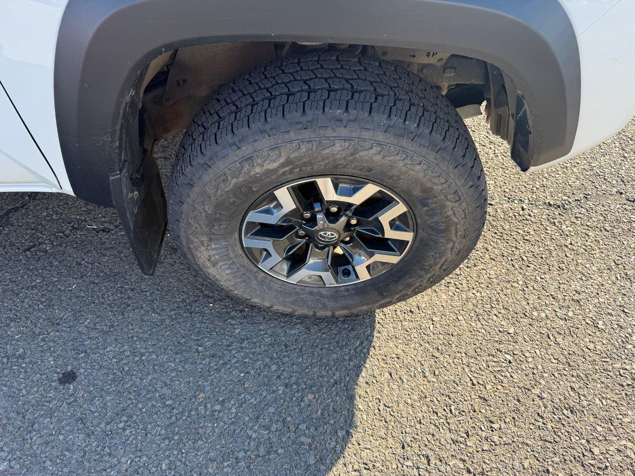 2023 Toyota Tacoma  Photo3