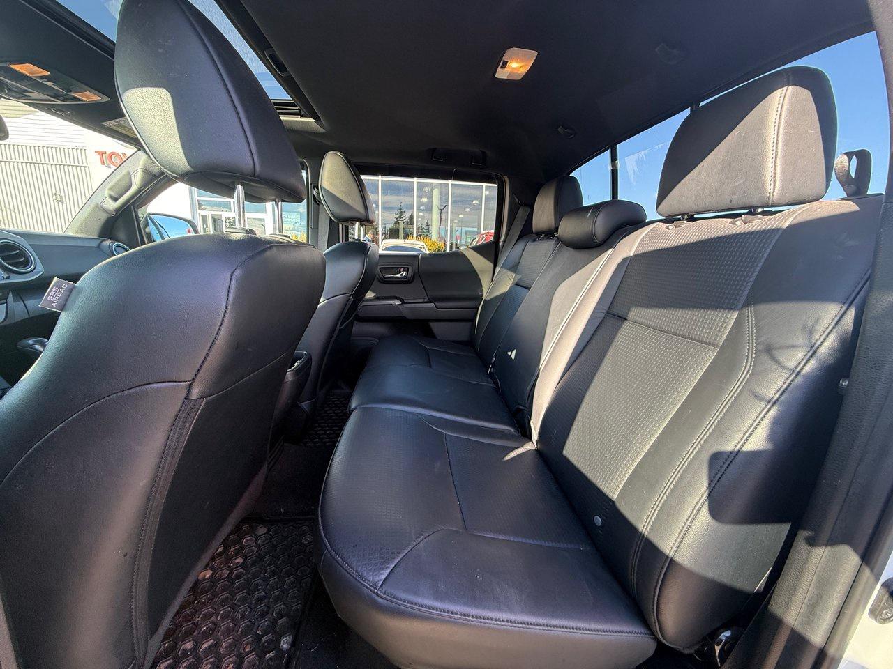 2023 Toyota Tacoma  Photo