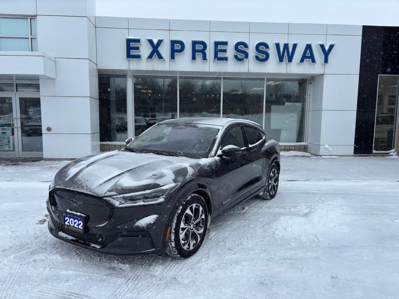 2022 Ford Mustang Mach-E PREMIUM, AWD, STANDARD RANGE, LOCAL TRADE! Photo0