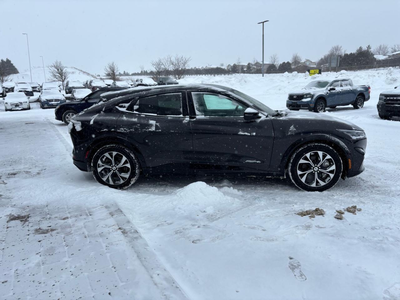 2022 Ford Mustang Mach-E PREMIUM, AWD, STANDARD RANGE, LOCAL TRADE! Photo3