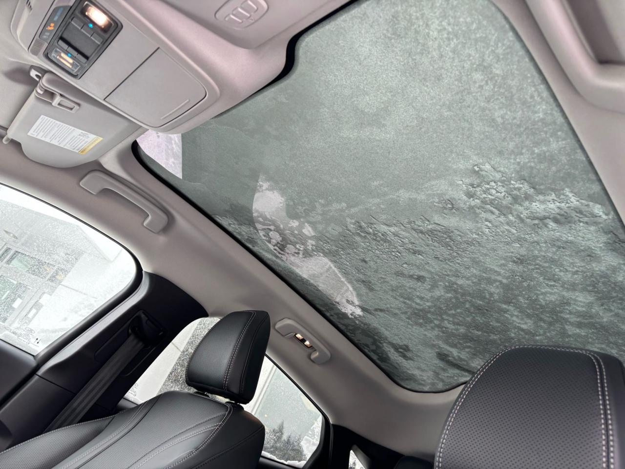 2022 Ford Mustang Mach-E PREMIUM, AWD, STANDARD RANGE, LOCAL TRADE! Photo