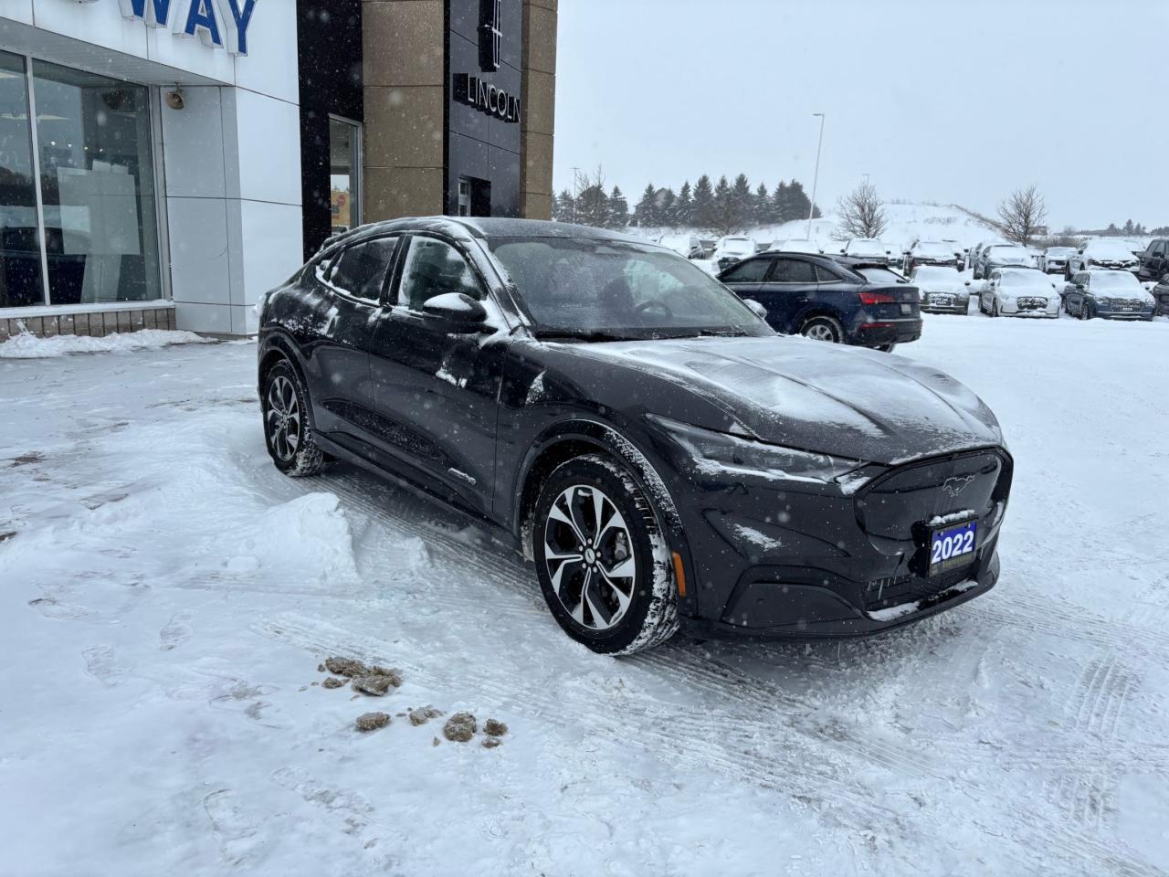 2022 Ford Mustang Mach-E PREMIUM, AWD, STANDARD RANGE, LOCAL TRADE! Photo2