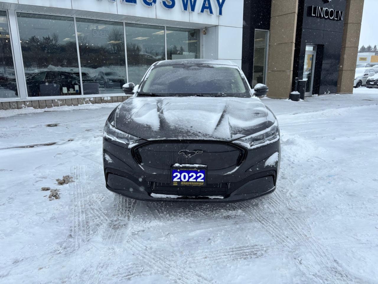 2022 Ford Mustang Mach-E PREMIUM, AWD, STANDARD RANGE, LOCAL TRADE! Photo