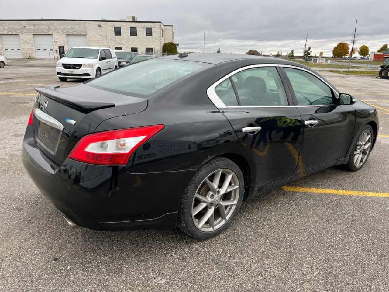 2011 Nissan Maxima  Photo