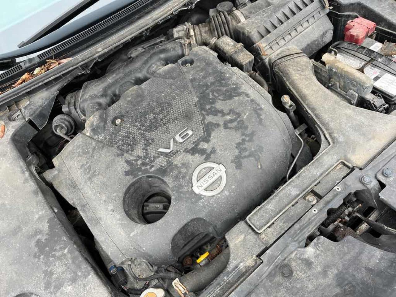 2011 Nissan Maxima  Photo