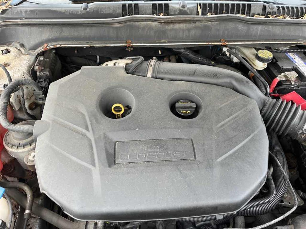 2013 Ford Fusion SE Photo