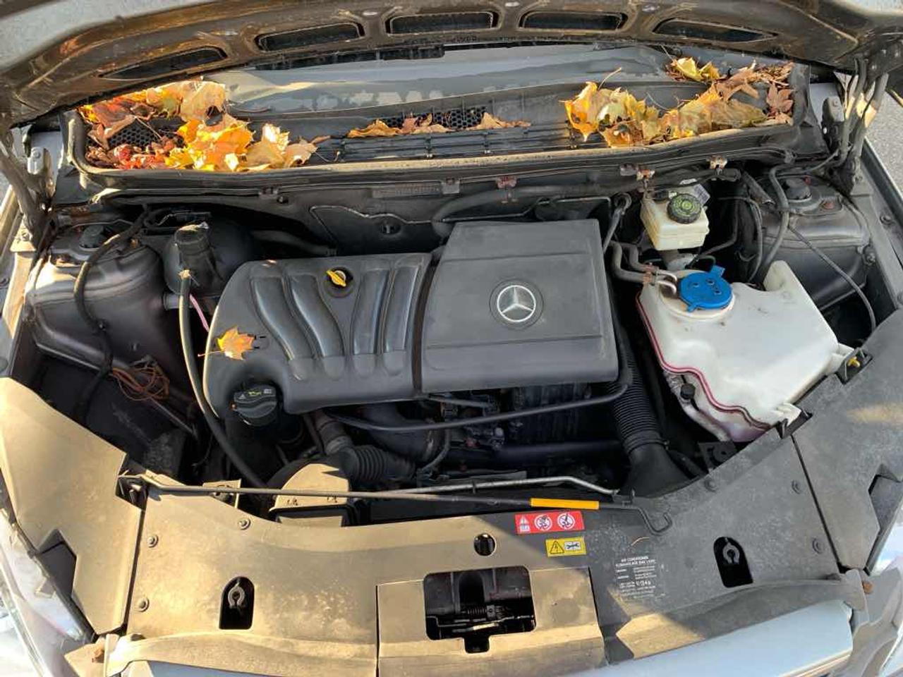 2009 Mercedes-Benz B200  Photo