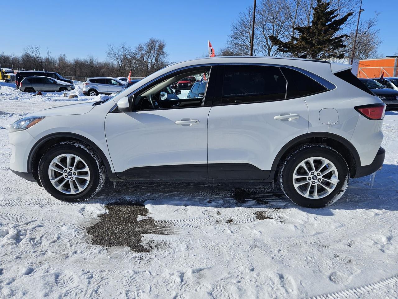 2020 Ford Escape SE Photo