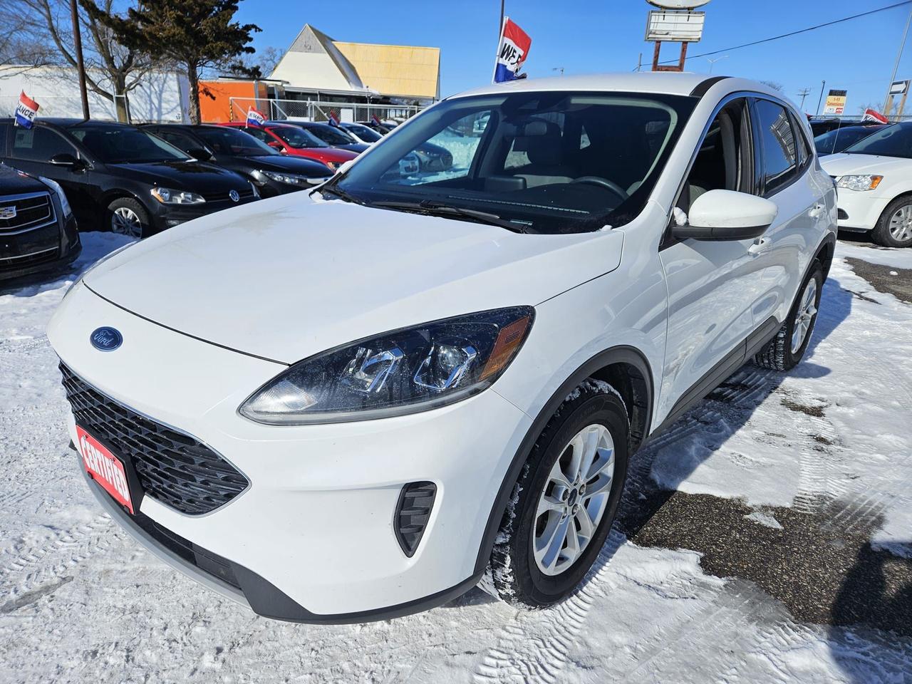 2020 Ford Escape SE Photo