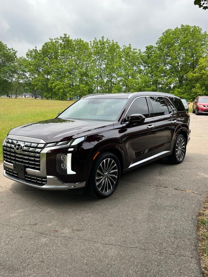 Used 2023 Hyundai PALISADE Ultimate Calligraphy for sale in Burlington, ON