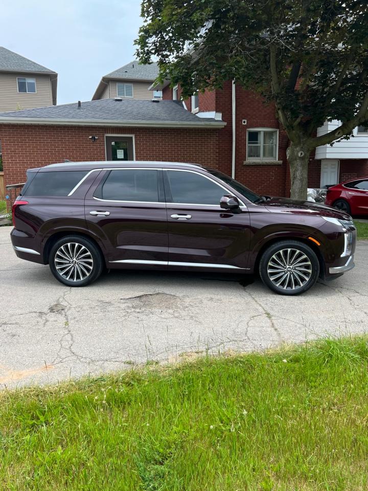 2023 Hyundai PALISADE Ultimate Calligraphy Photo3