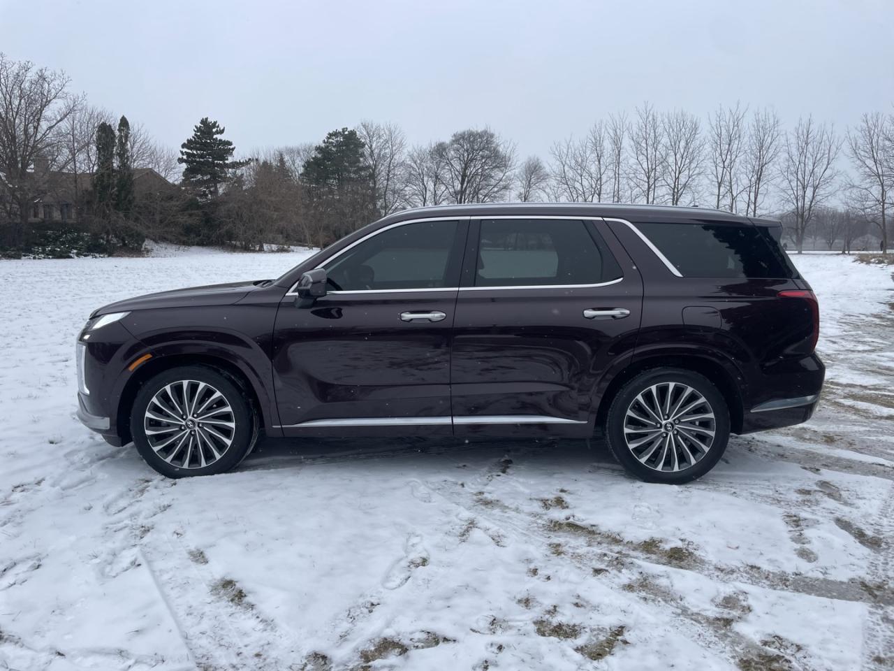 2023 Hyundai PALISADE Ultimate Calligraphy Photo