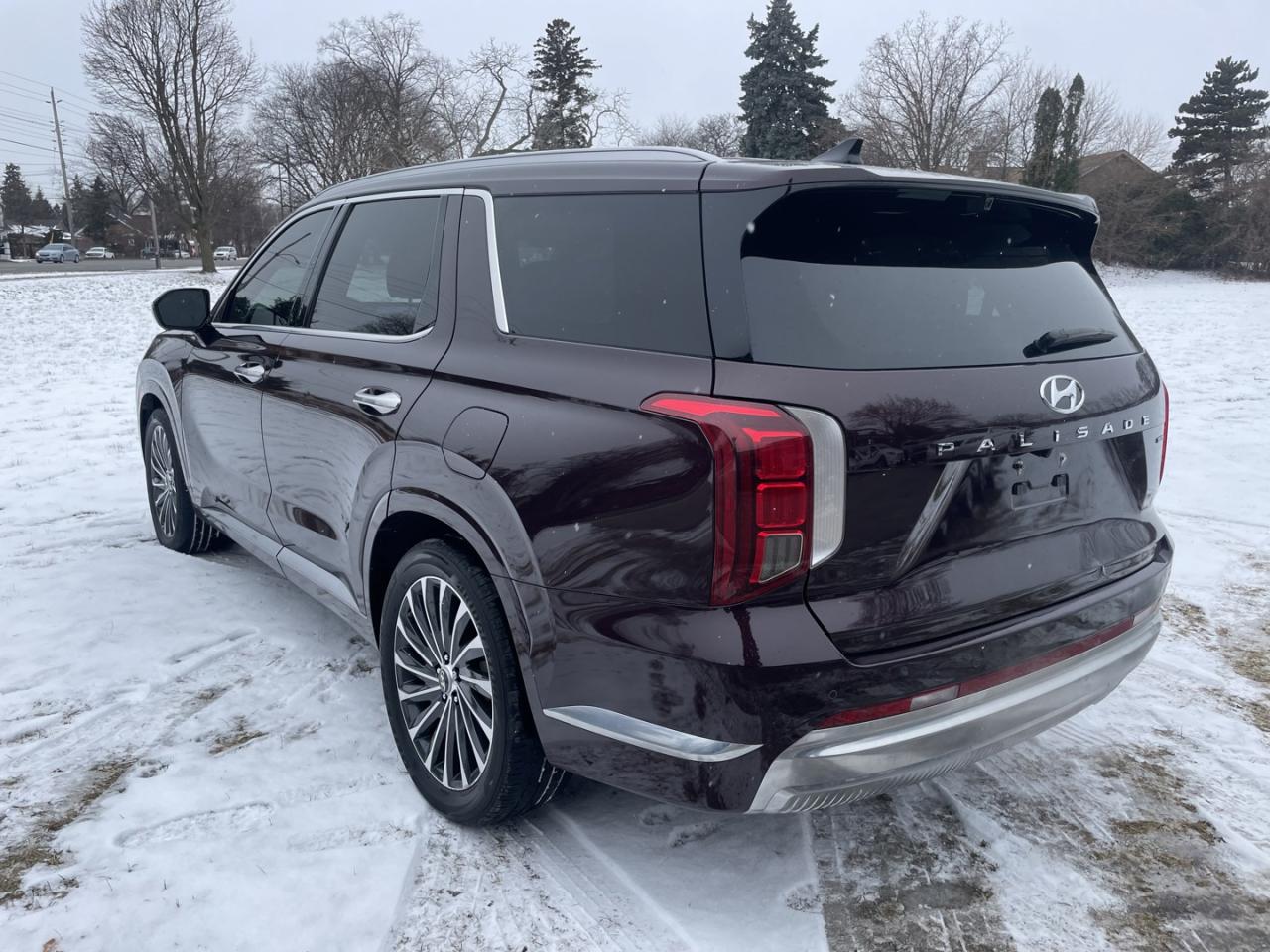 2023 Hyundai PALISADE Ultimate Calligraphy Photo