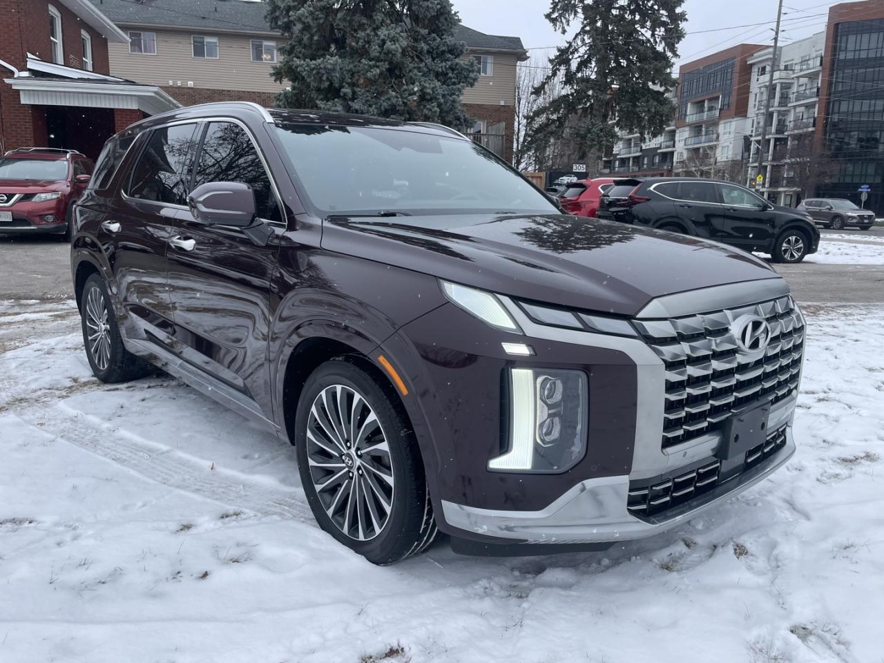 2023 Hyundai PALISADE Ultimate Calligraphy Photo