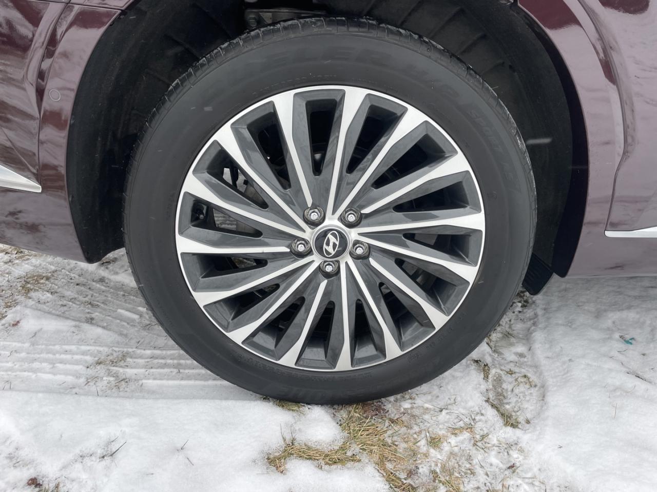 2023 Hyundai PALISADE Ultimate Calligraphy Photo